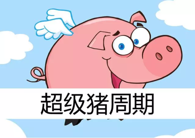 2019年下半年豬價預測：7、9月兩次大漲，第四季度將達到頂峰
